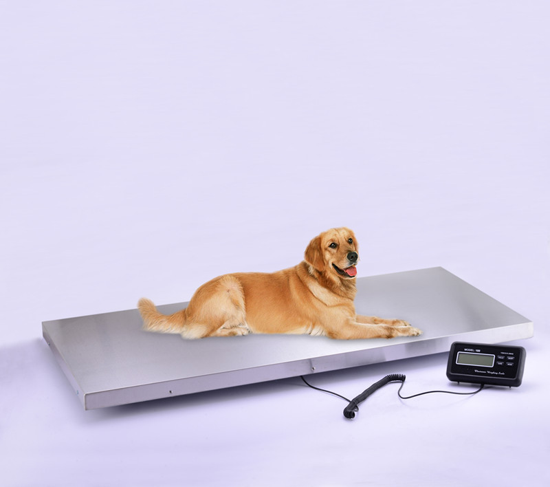 博傲动物称宠物秤平台秤便携式电子显示