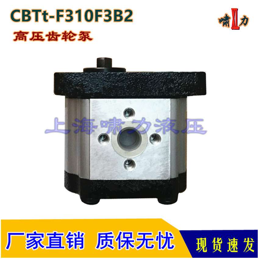 CBTt-F316F3B2 液压齿轮泵 啸力扁键高压泵 CBTt-F306F3B2