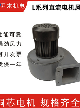 L型 直流电机风机 离心风机L-03 L-04 L-06 L-064 散热风机