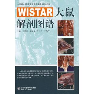 速发9787533150938 山东科学技术出版 WISTAR大鼠解剖图谱 等主编 社 王增涛 正版