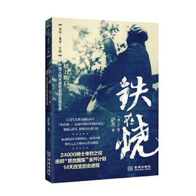 正版速发9787515515984 铁在烧 萨苏 金城出版社
