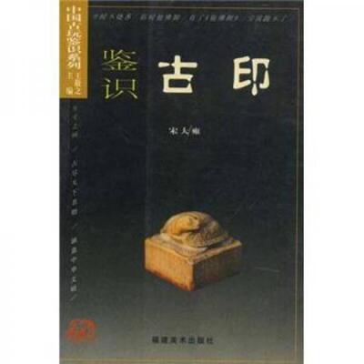 正版速发9787539309620 中国古玩鉴识：鉴识古印 宋大雍
