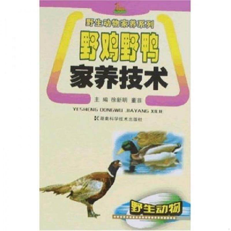 正版速发9787535751942 野鸡野鸭家养技术 董菲 湖南科学技术出版社