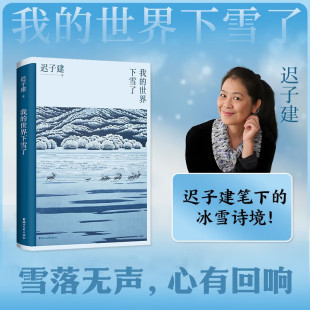 旅程 茅盾文学奖得主迟子建散文自选集 极地 我 文学 温暖与百感交集 生活世界 世界下雪了