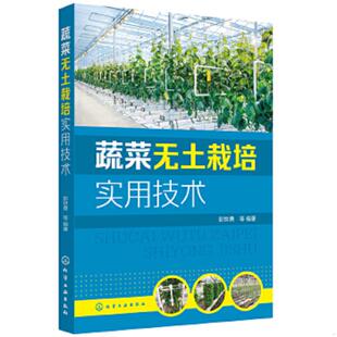 化学工业出版 正版 彭世勇等编著 蔬菜无土栽培实用技术 社 速发9787122382948