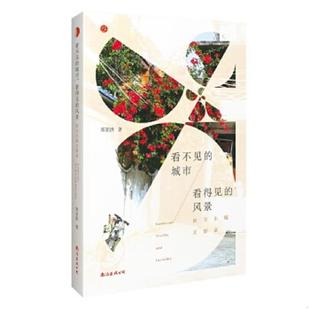 城市 看得见 风景：南方小城文影录 正版 南海出版 看不见 郑亚洪 公司 速发9787544285827