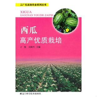 速发9787538167566 辽宁科学技术出版 西瓜高产优质栽培 吴国兴 社 于辉 正版