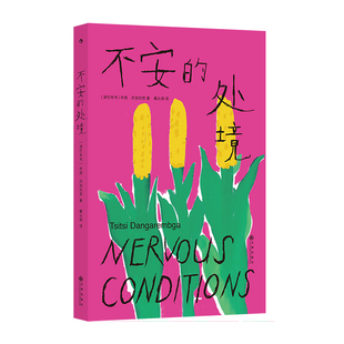 不安的处境 家庭处境女性成长反抗 非洲女性主义里程碑 津巴布韦黑人女性首部英文小说