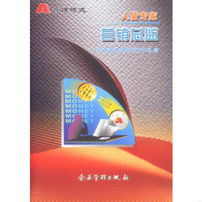 正版速发9787801479013 营销总监 北京光起公司研究设计中心编 企业管理出版社