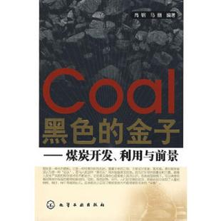 金子：煤炭开发 利用与前景 化学工业出版 速发9787122039064 社 编著 黑色 马丽 正版 肖钢