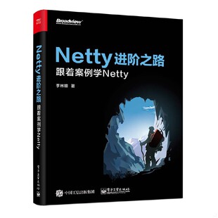 电子工业出版 正版 李林锋 Netty进阶之路跟着案例学Netty 社 速发9787121352621