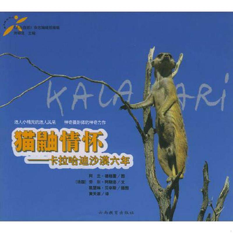正版速发9787541523359 猫鼬情怀 24开本铜版纸彩印 [法国]阿兰·德格雷图,劳尔·阿斯洛文,凯瑟琳·贝辛斯插图,黄天源译 云南教育