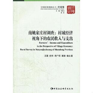 著 社 村域经济视角下 何伟 郑文琯 王震 南姚家庄村调查 农民收入与支出 中国社会科学出版 正版 葛婧 速发9787500497806