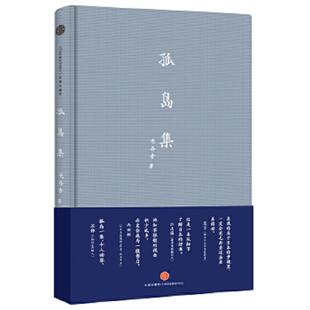 缺书封衣 孤岛集 见图 毛丹青 社 正版 中信出版 速发9787508644677