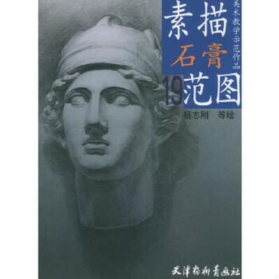 正版速发9787805036762 美术教学示范作品 素描石膏范图19（发货照片其中一本） 杨志刚等编绘 天津杨柳青画社