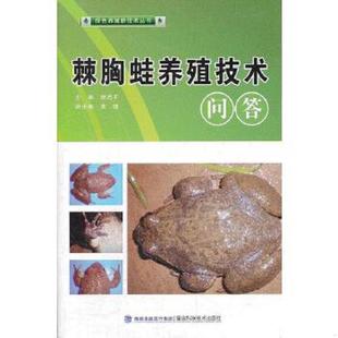 速发9787533540388 黄鳝养殖技术书养殖技术书籍大全 黄鳝高效养殖技术精解与实例 全2册 科学养 泥鳅高效养殖技术精解与实例 正版