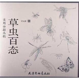 张立强绘 正版 草虫百态 实用白描画稿. 天津杨柳青画社 速发9787554701638