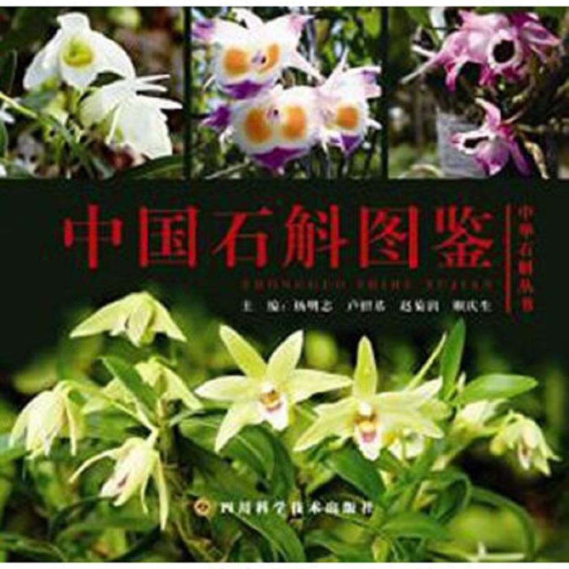 正版速发9787536482456 中国石斛图鉴 杨明志著 四川科技出版社