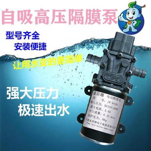 24V小型增压泵100W大功率抽水自吸微型水泵高压农家用直流循环泵