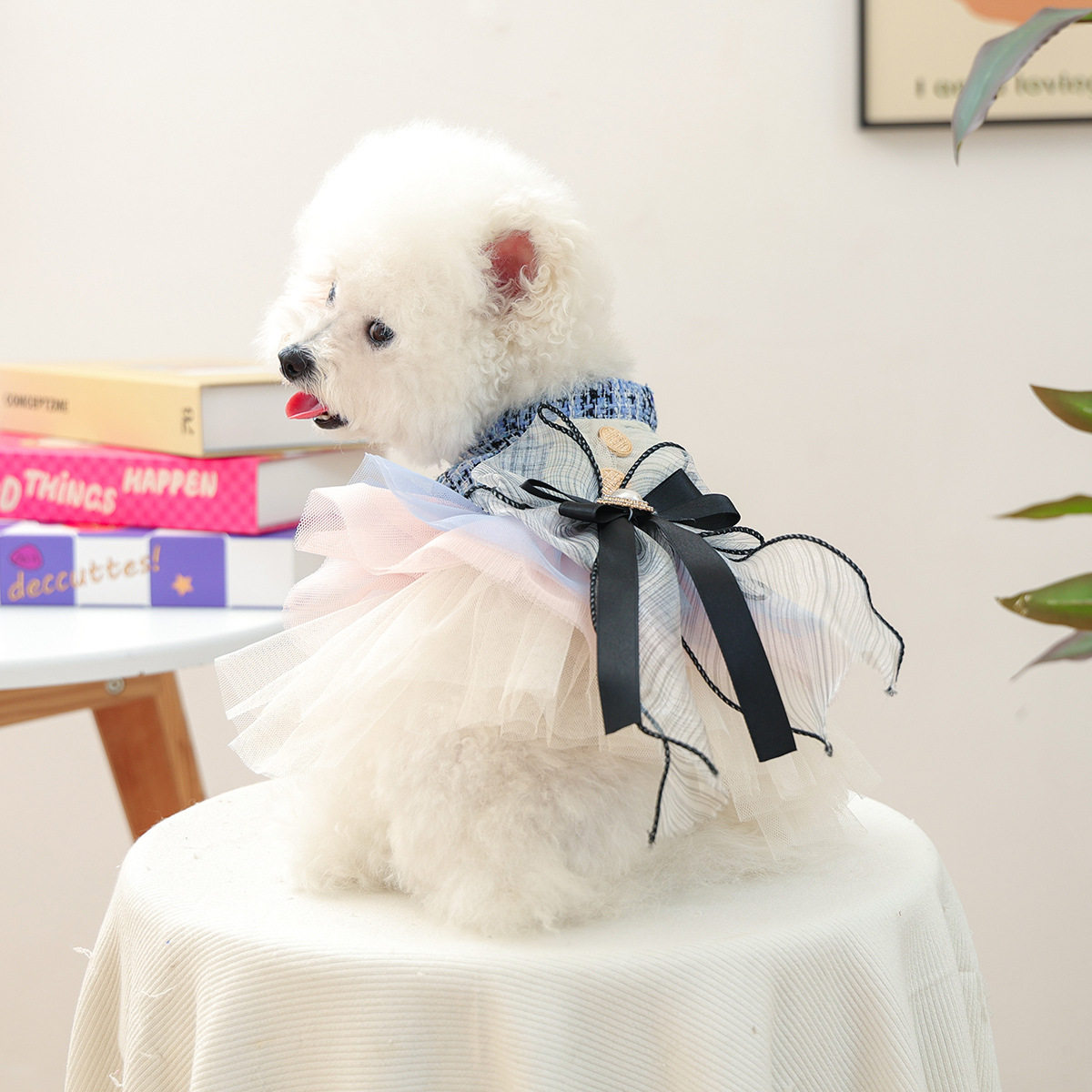宠物衣服秋冬款小型犬幼犬快乐狗猫保暖舒适服饰彩色香风裙-蓝