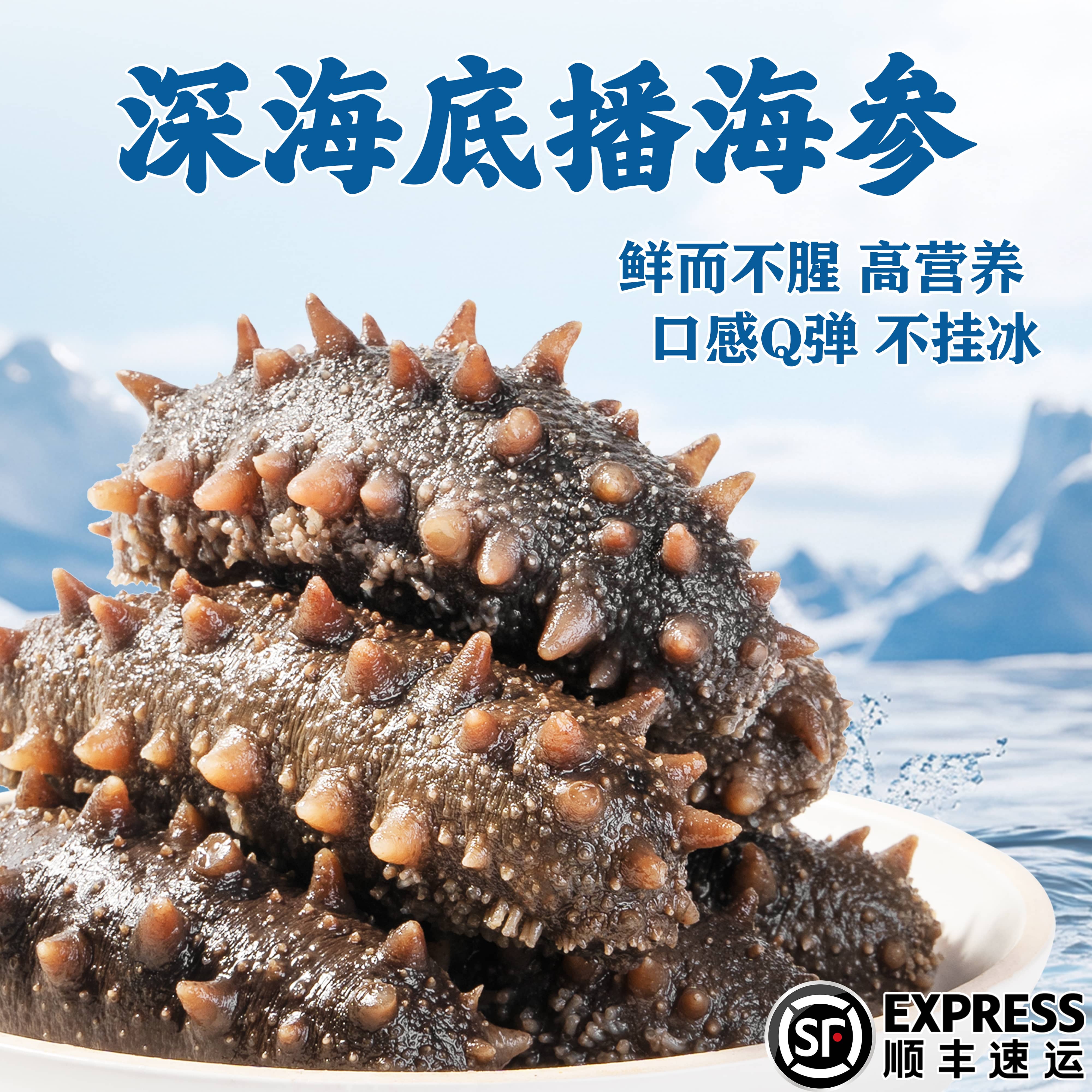 【9A大个头】鲜食正宗大连深海辽刺参鲜活8年海参海鲜开袋即食