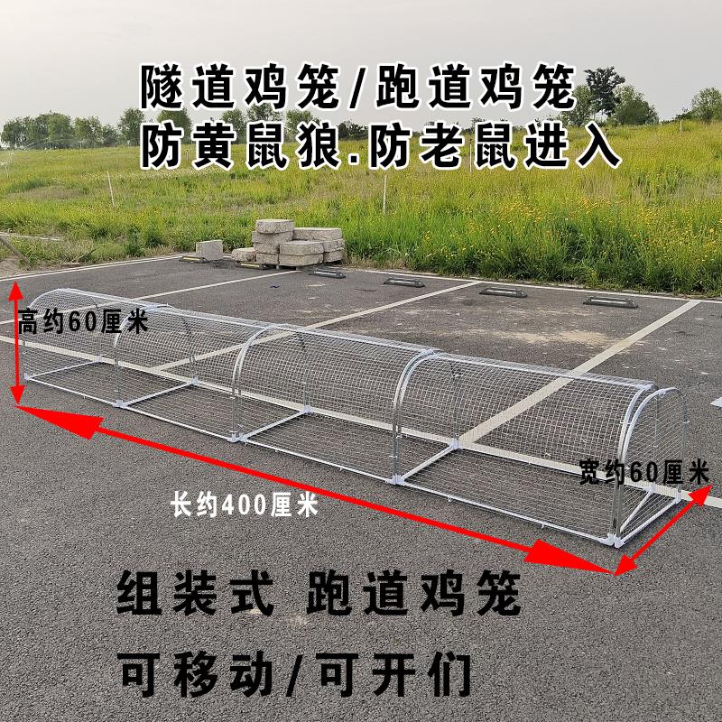 养殖棚跑道鸡笼镀锌网铁网笼防腐防锈户外养鸡隧道兔子跑笼走地鸡