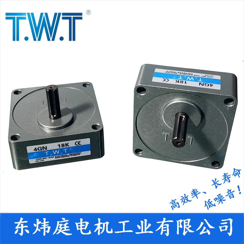 TWT电机 4GN3K~180K齿轮减速箱4GN20K 4GN100K 台湾东炜庭电机