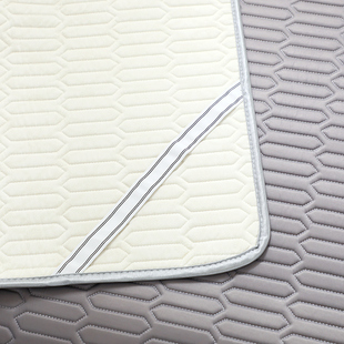 夏季 床垫席梦思保护垫子可机洗家用学生宿舍 凉感床垫天丝乳胶薄款