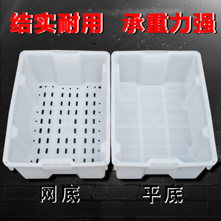 塑料水产鱼筐海鲜运输搬运周转箱加厚错位滤水网底镂空筐白色框子