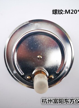 杭州富阳东方YN100ZT不锈钢轴向带边抗震耐震压力表 水压表油压表