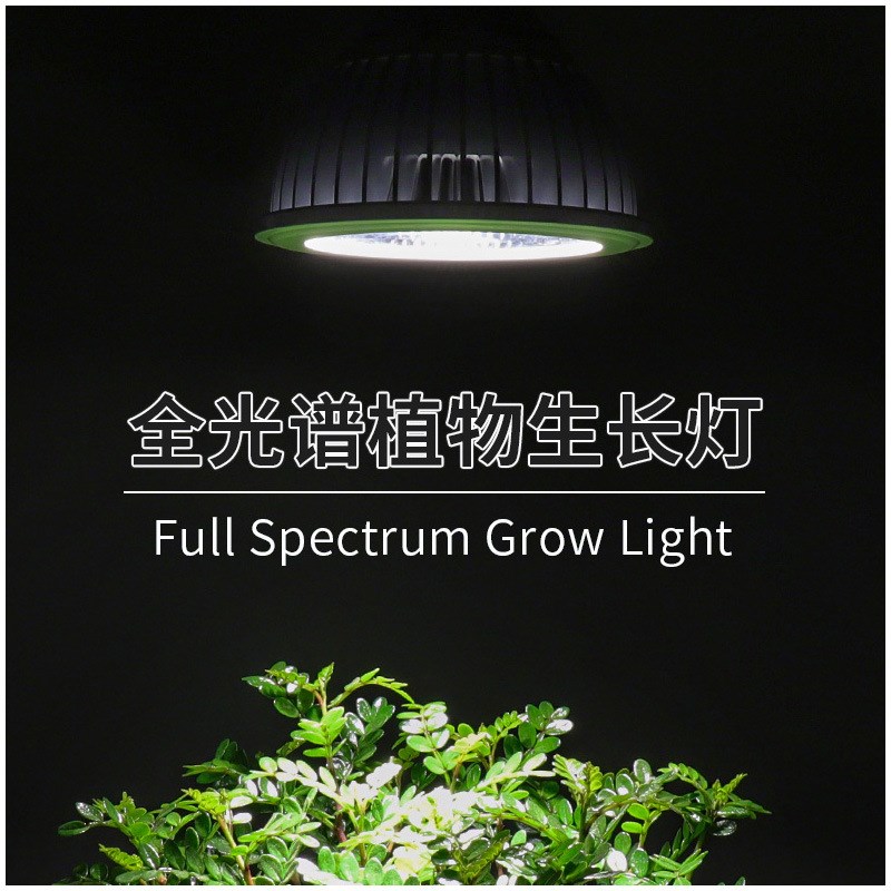 植物补光灯98显Led室内仿太阳全光谱多肉花卉盆栽水草Par38灯泡