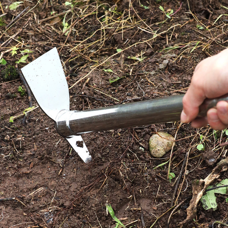 全钢锄头不锈钢双用种菜种花家用小锄头农用耙子镐头户外挖土农具,鲜花速递/花卉仿真/绿植园艺,锄头,淘宝优惠券,粉丝福利购,淘宝优惠卷