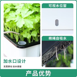家庭阳台种菜盆长方形箱自吸水懒人花盆自动窄型塑料盆栽神器