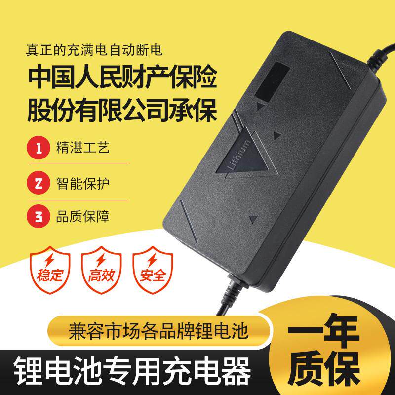 电动车锂电池充电器静音智能保护锂电专用温控耐高温多种插头