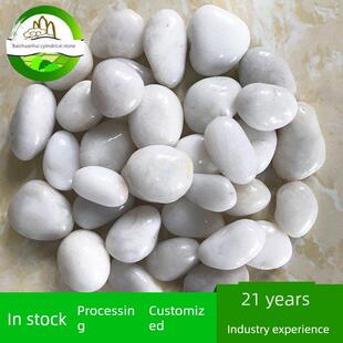 精品白色雨花石 鹅卵石 园林路面石 按摩白色卵石鱼池园林装饰石