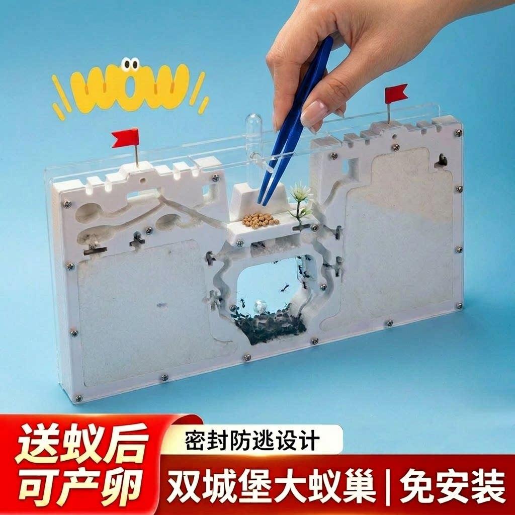 蚂蚁生态箱城堡超大型送蚁后学生观察盒繁殖版的蚁巢窝工坊宠物