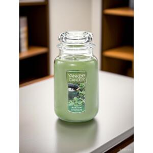 送点火器 yankeecandle杨扬洋基香薰蜡烛623g大瓶22oz香芬