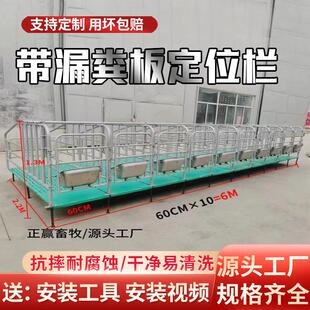 母猪定位栏养猪场设备限位栏带漏粪板定位栏热浸镀锌猪用覆合定位