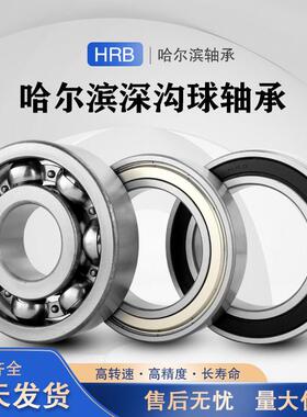 哈尔滨HRB轴承6316 6317 6318 6319 6320 6321 6322 6324 2RZ 2Z