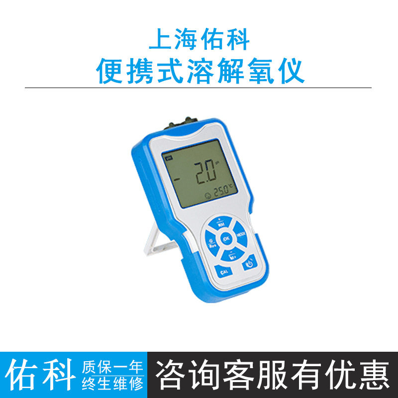 上海佑科P6便携酸度溶解氧仪