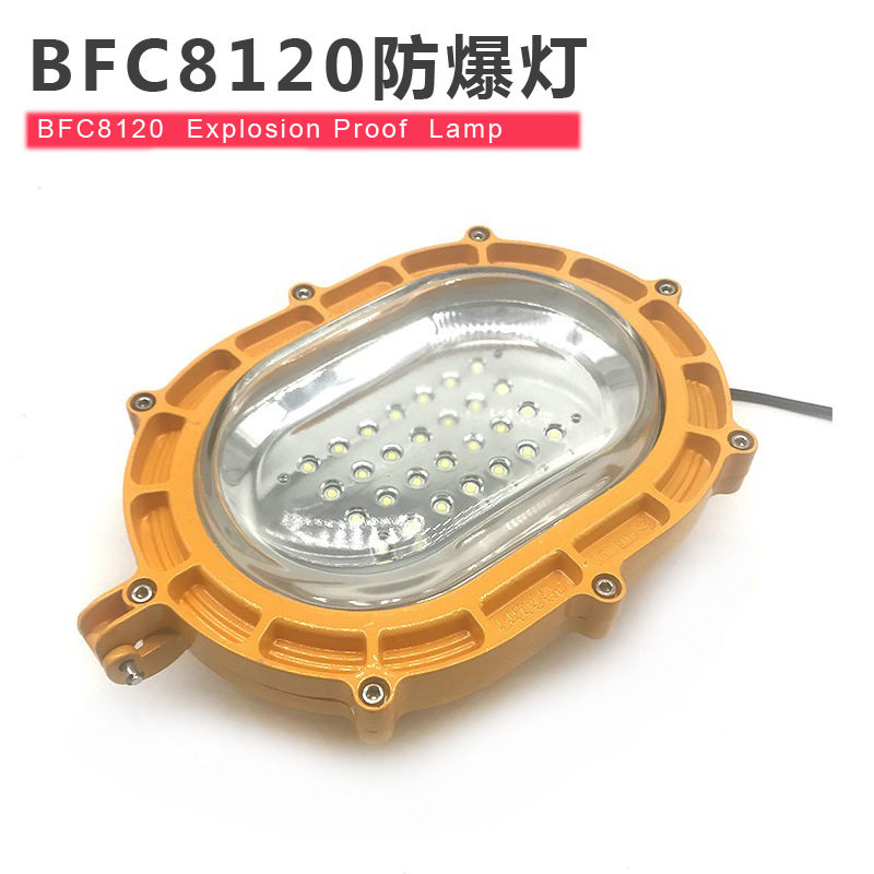 BFC8120内场强光LED防爆泛光灯