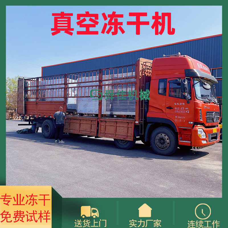 江苏蜜桃宠物粮低温真空冻干机