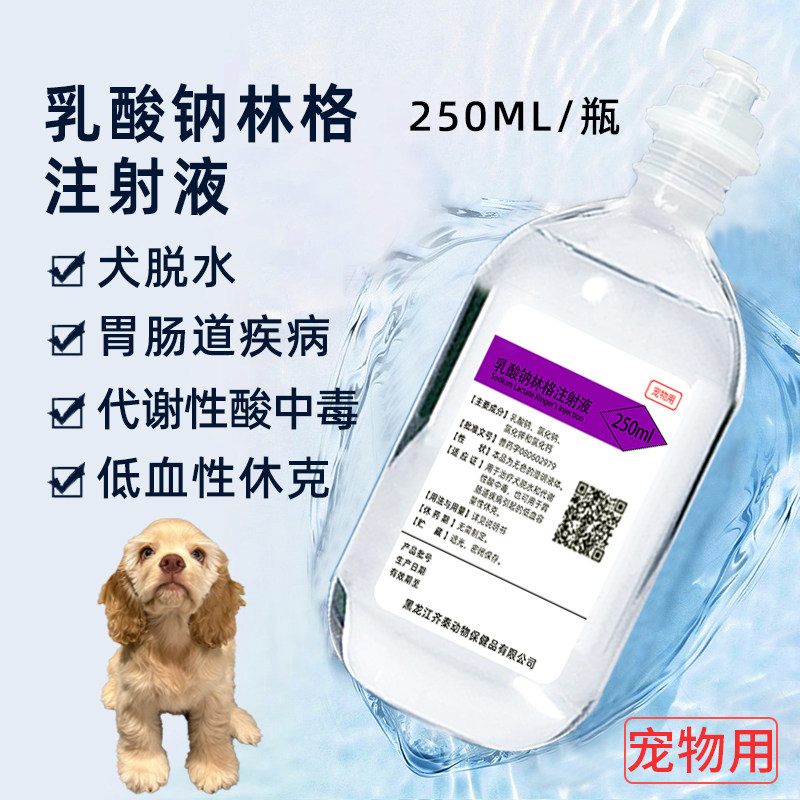 乳酸钠林格注射液宠物猫咪狗狗用脱水补液代谢性酸中毒低血性休克