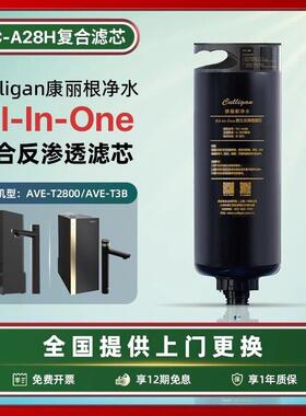 Culligan/康丽根小黑龙净水器滤芯RC-A28H RO反渗透滤芯T2800/T3B