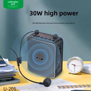 萨克斯无线麦克风大功率蓝牙小蜜蜂扩音器二胡户外音响便携式混响