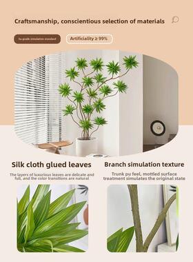 百合竹彷生绿色植物斯堪的纳维亚风地板站立模拟植物盆栽室内客厅