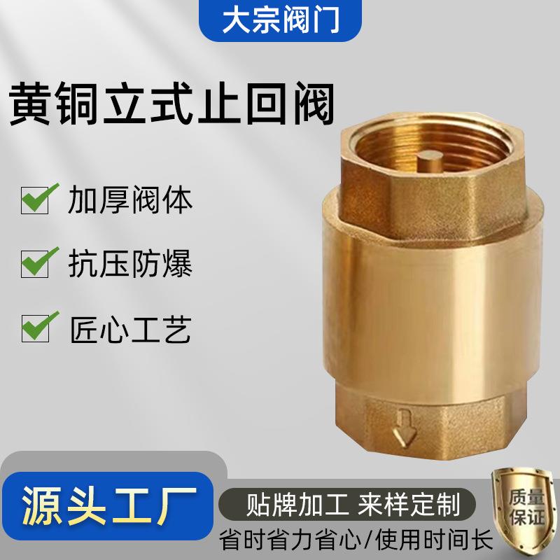 厂家直供立式铜止回阀弹簧式 加厚自来水管道止逆单向阀4分6分1寸