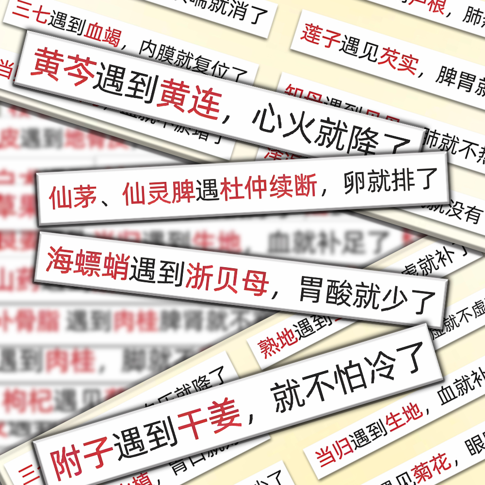 120张中药配伍中药药对速记口诀贴纸中医知识贴画diy手机壳手账本
