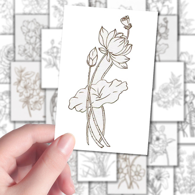 108张简笔画植物花卉线稿素材贴纸房间手帐diy防水自粘贴画diy