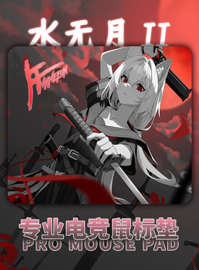 HAVEFUN水无月V2二代类PA控制型超细面亲肤硬底CS2无畏契约鼠标垫